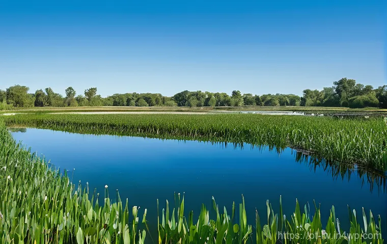 자연형 물 정화 시스템을 통한 농업용수 관리 - **Constructed Wetland: Nature's Green Filter**
A vibrant, sun-drenched agricultural landscape fe...